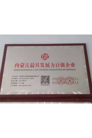 內(nèi)蒙古較具發(fā)展力百?gòu)?qiáng)企業(yè)